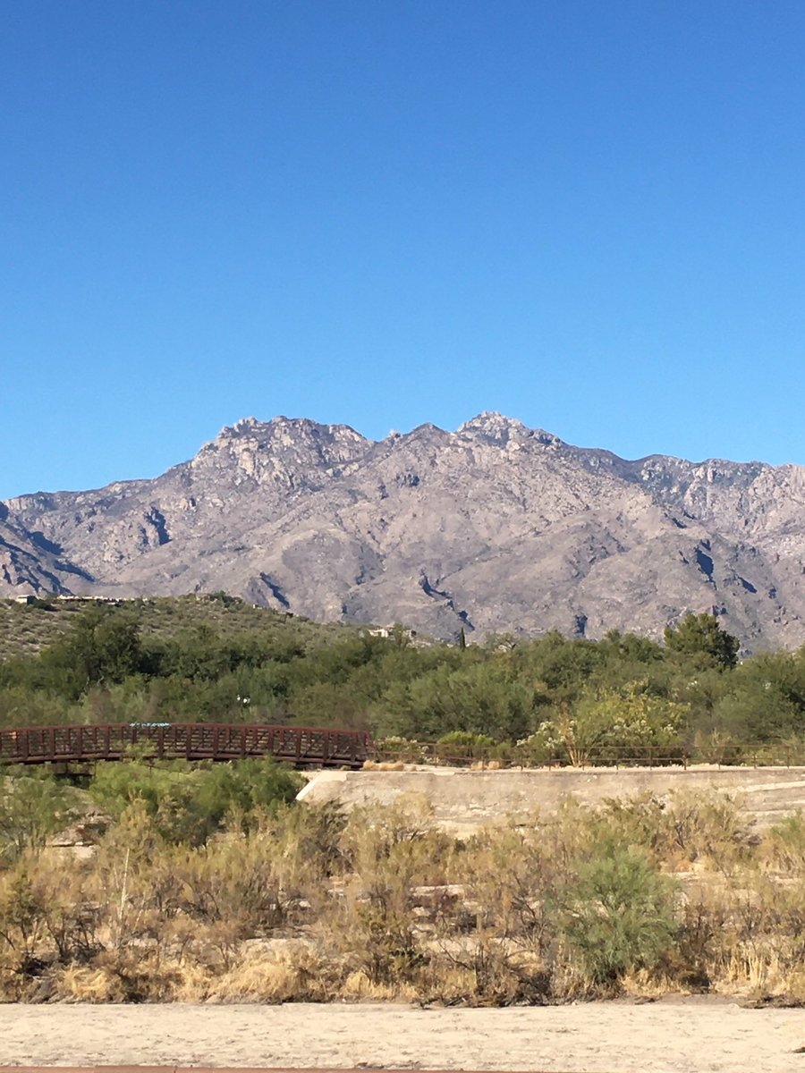 LydieKaplan's tweet photo. #Arizona2020 #Sabinocanyon #MountLemon https://t.co/zBg9VO7bu9
