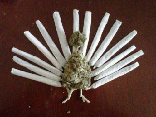 dakronhicks's tweet photo. @hashloversofam1 Happy Muthahumpin Turkey Day!! Go Lions!!! 😂😂 https://t.co/3gVIfC5GbX