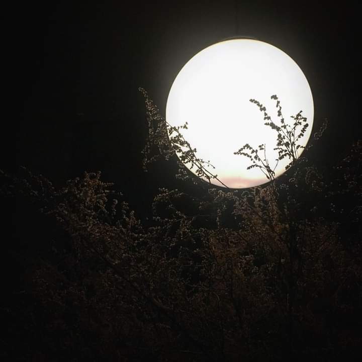 LilMahmoud4's tweet photo. the moon is a friend for the lonesome to talk to. https://t.co/c5EPrSL4J7