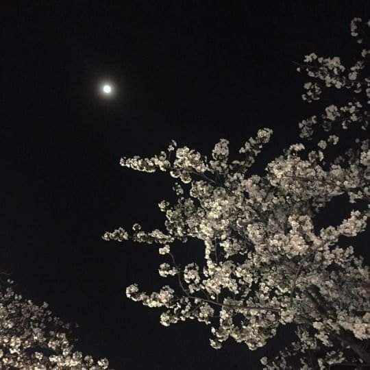 LilMahmoud4's tweet photo. the moon is a friend for the lonesome to talk to. https://t.co/c5EPrSL4J7