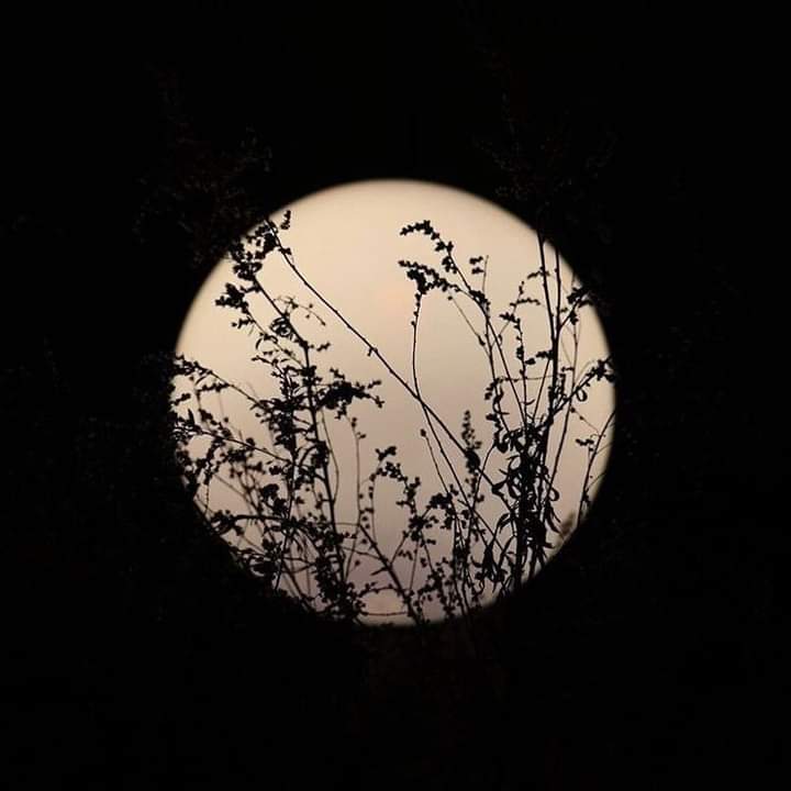 LilMahmoud4's tweet photo. the moon is a friend for the lonesome to talk to. https://t.co/c5EPrSL4J7