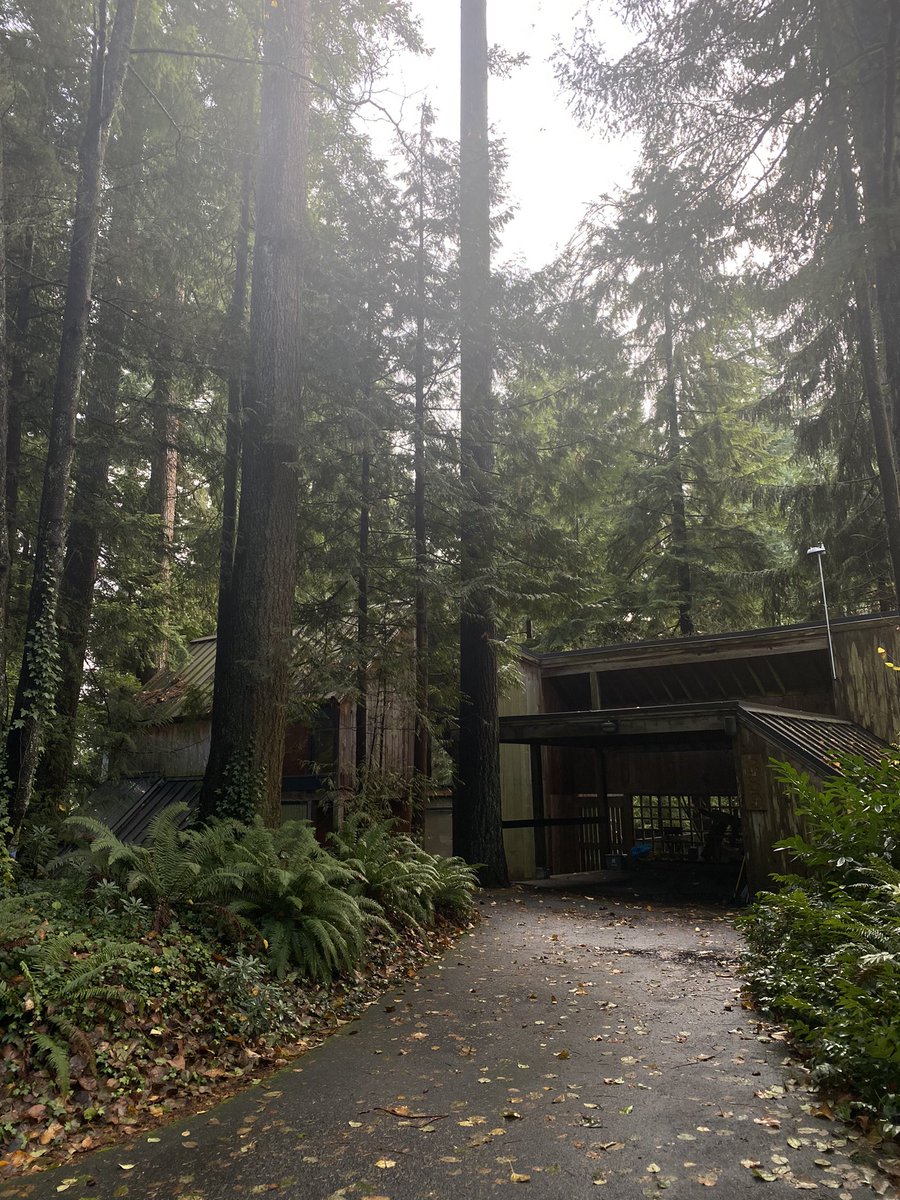 antoinecharbs's tweet photo. Saw this house today on a walk, and just like that I found my 
✨dream house✨ https://t.co/cA4A89S7p2