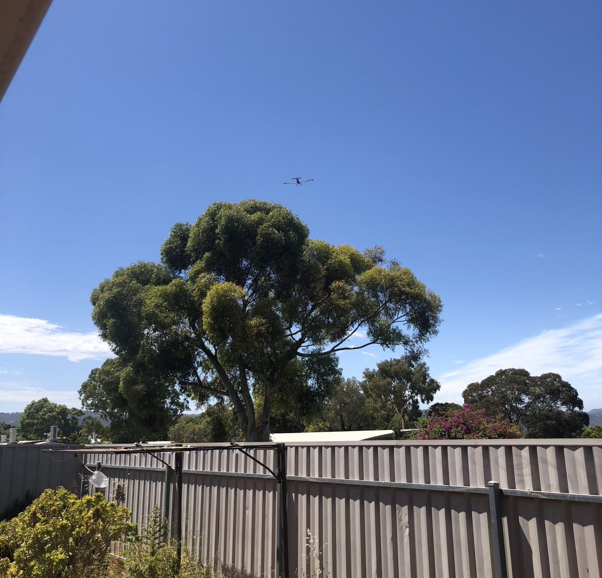 StormyAUS tweet media