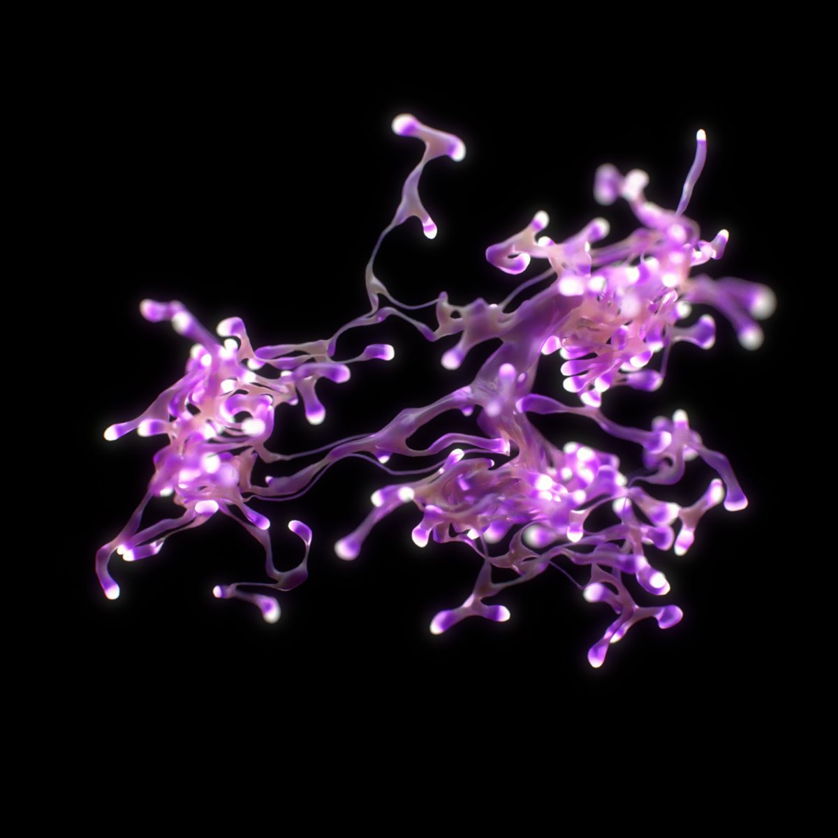 3Dmattias's tweet photo. Gaussian curvature expansion creates these intricate tentacles that bifurcate over and over again. https://t.co/0KsqPZyEwH