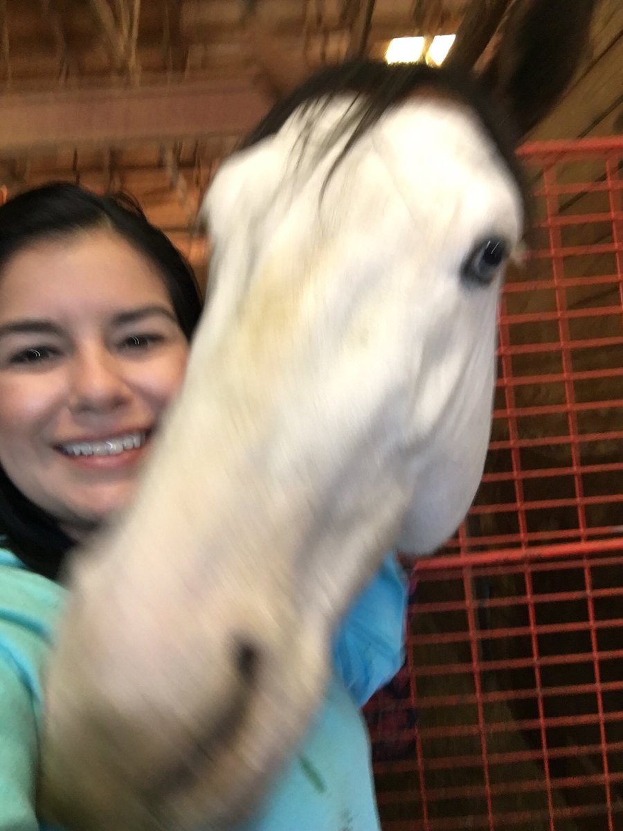 EvinMunson's tweet photo. Canβt believe it was a year ago that I met the very handsome & lovable & peppermint loving Southern Phantom!!! π₯°ππ₯°π #SouthernPhantom #RemingtonPark @ILoveFastHorses @missfasthorses @PhantomSouthern @RemingtonPark https://t.co/vp3cx4gfyX