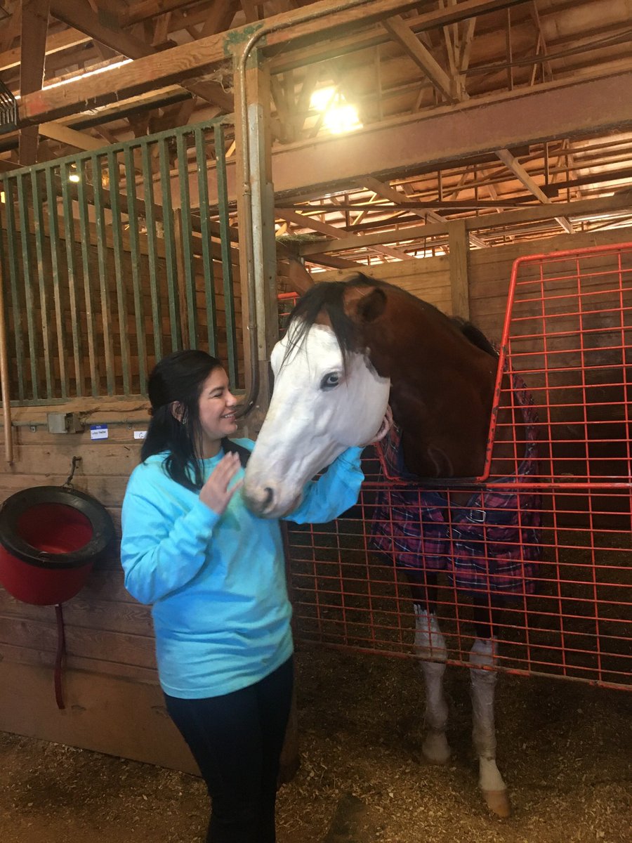 EvinMunson's tweet photo. Canβt believe it was a year ago that I met the very handsome & lovable & peppermint loving Southern Phantom!!! π₯°ππ₯°π #SouthernPhantom #RemingtonPark @ILoveFastHorses @missfasthorses @PhantomSouthern @RemingtonPark https://t.co/vp3cx4gfyX