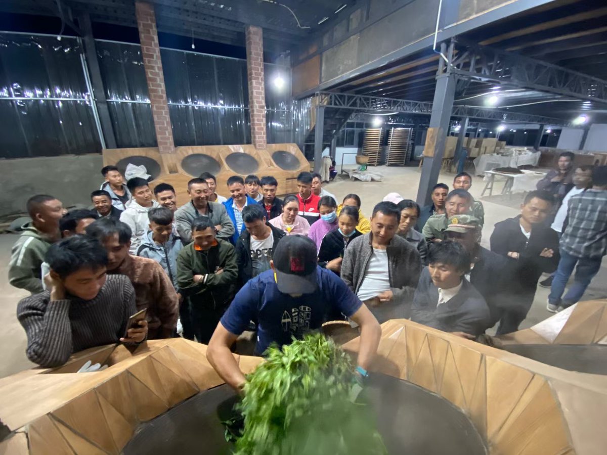 DenongTea's tweet photo. The training of more than 50 participants from the five Bindao (ε°ε²) Villages has come to an end. See you next year.
#tea #puerhtea #puerh #pasadena #learning #training #pasadenalife #teacake #teaaholic #Healthy #chinesevillage #Bindao https://t.co/zG6tLwVfOr