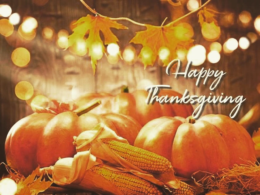 Walker Institute of International and Area Studies tweet media