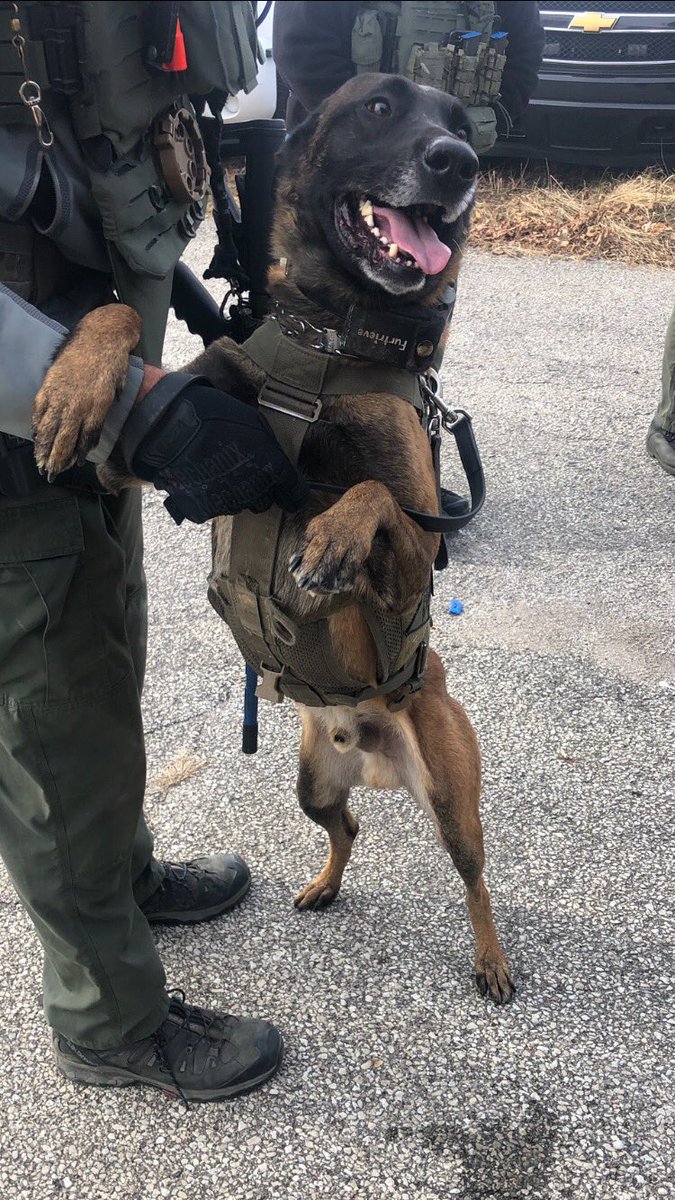 ISPcamps's tweet photo. Trooper Tripod flashback some great shots of JohnE hard at work with his team before his surgery! Help support JohnE by sharing his story! https://t.co/Ave1fMLGRR #troopertripod #ispcamps #happyhealing https://t.co/F4Pp39AcGJ