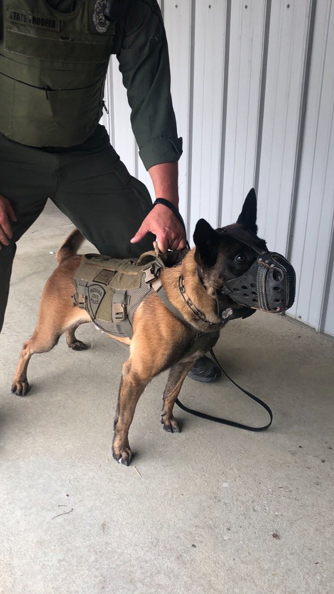 ISPcamps's tweet photo. Trooper Tripod flashback some great shots of JohnE hard at work with his team before his surgery! Help support JohnE by sharing his story! https://t.co/Ave1fMLGRR #troopertripod #ispcamps #happyhealing https://t.co/F4Pp39AcGJ