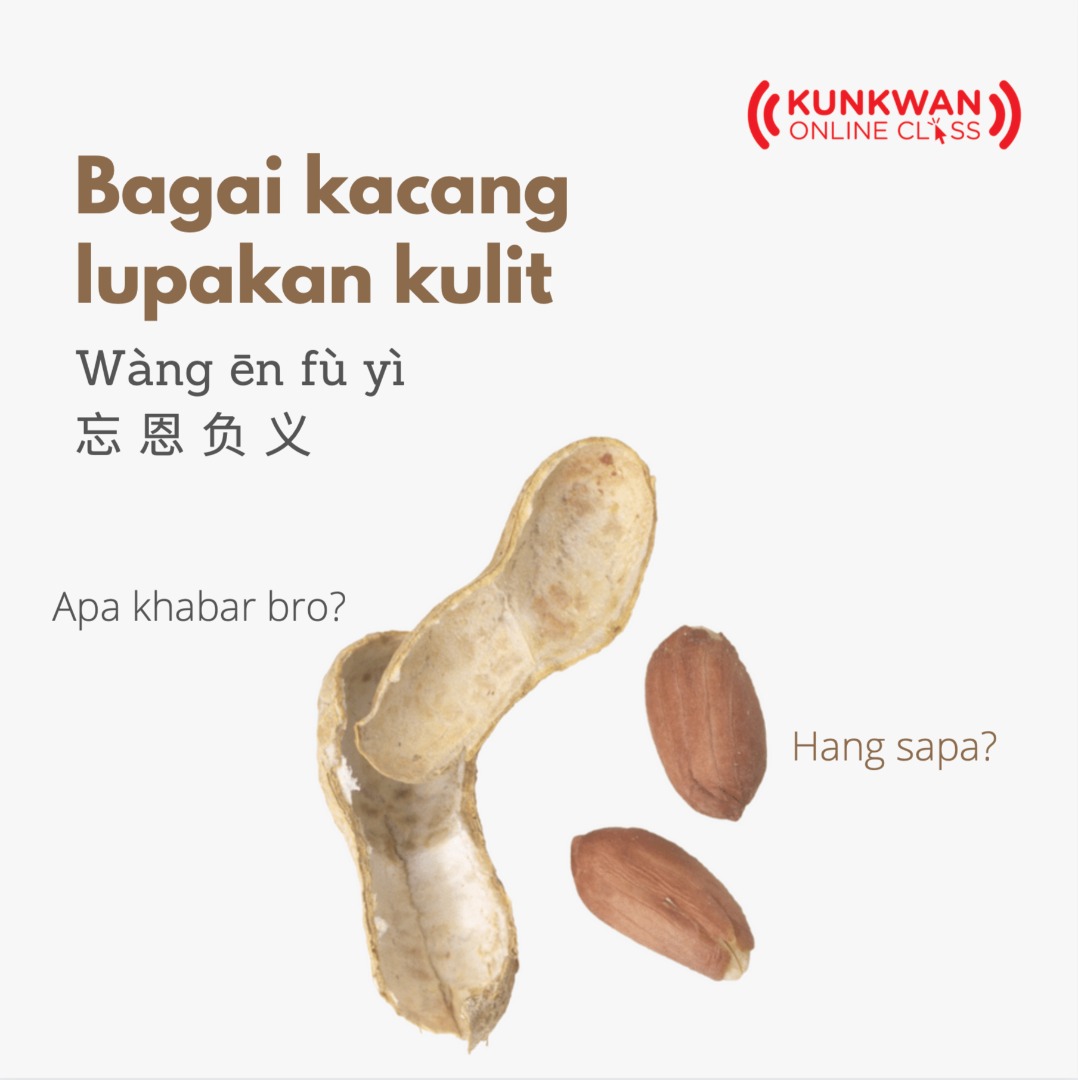 AriAiren's tweet image. Wàng ēn fù yì
忘 恩 负 义
(Bagai kacang lupakan kulit)
To bite the hand that feeds you
🥜🙁🥜😀🥜😬🥜😦🥜

Wàng 忘 = forget
ēn 恩 = kindness
fù 负 = to turn one&apos;s back on
yì 义 = justice

#KacangLupaKulitnya
#ChineseIdiom
#KunkwanOnlineClass
#iAmGrateful🤲🏼