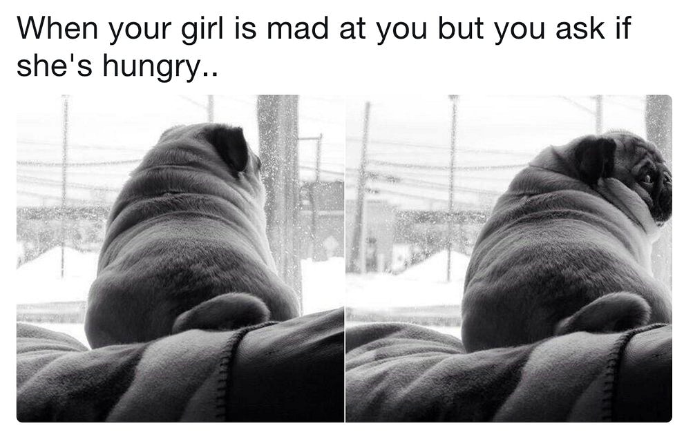 EDGIESTBOY's tweet photo. https://t.co/iUtSKSKlxK