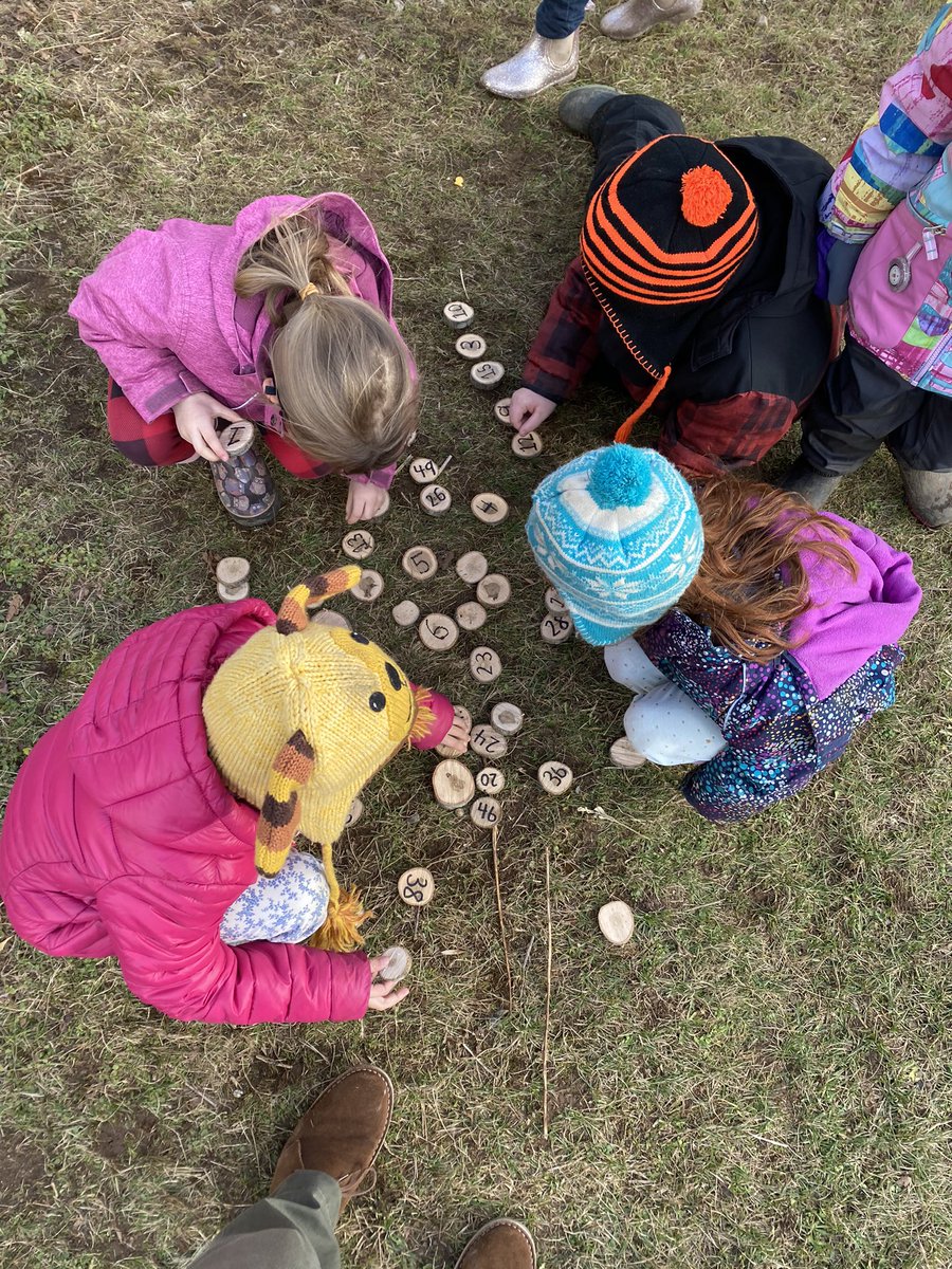 Finding and ordering numbers using our “tree cookies” this week in grade 1. #outdoormath