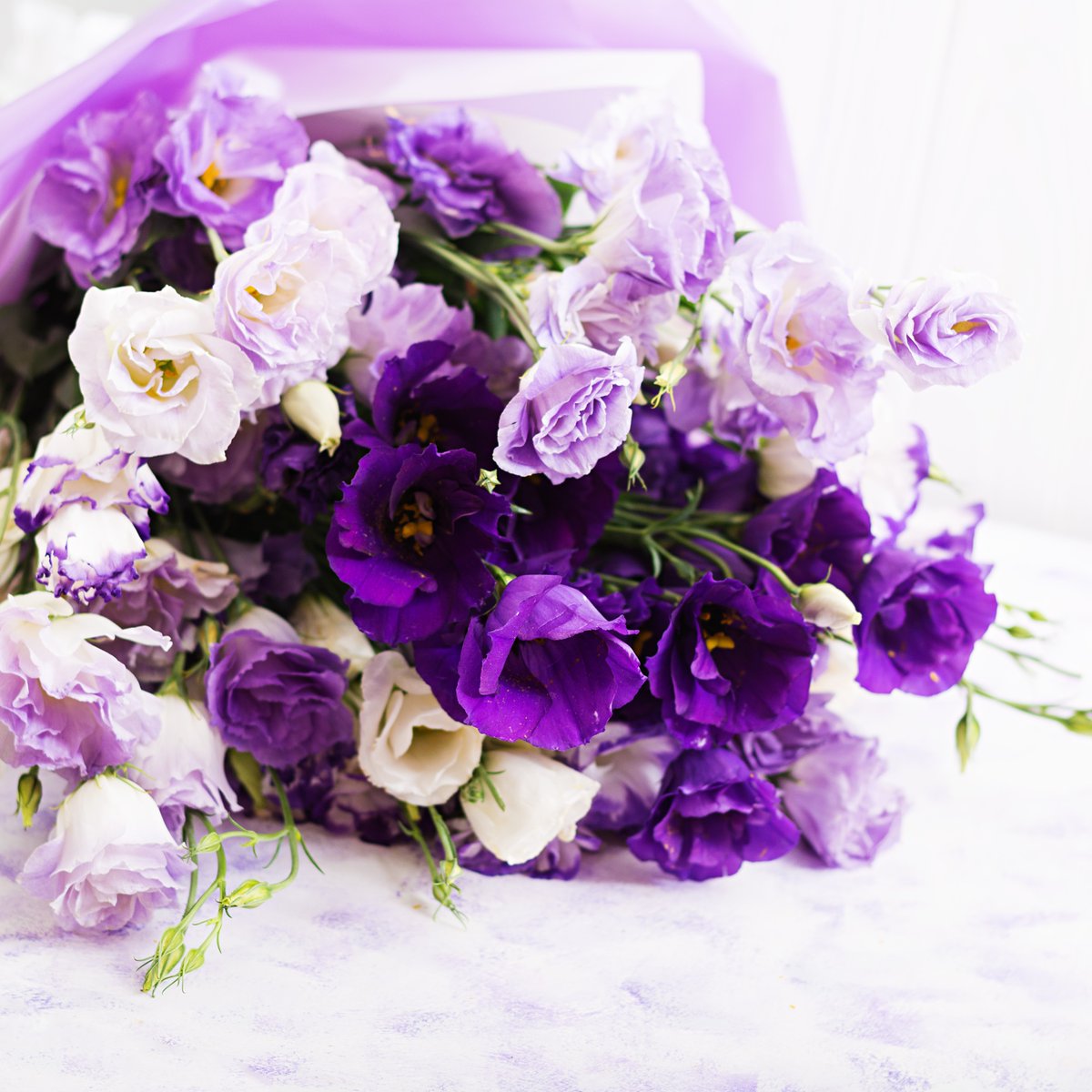 Do you want your next event to be outstanding and remembered by all guests?💜 Decorating the venue with beautiful flowers will surely surprise the guests.
 
Contact us today to start planning your event!

#dfwevents #dallasevents #forthworthevents #planoevents