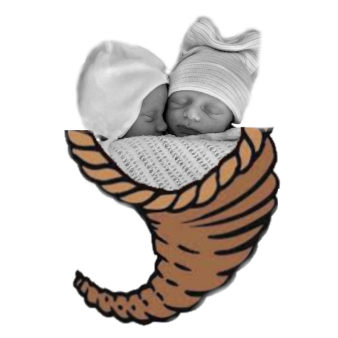 brochushair's tweet photo. Happy Thanksgiving! https://t.co/o3uSl3Mpg9