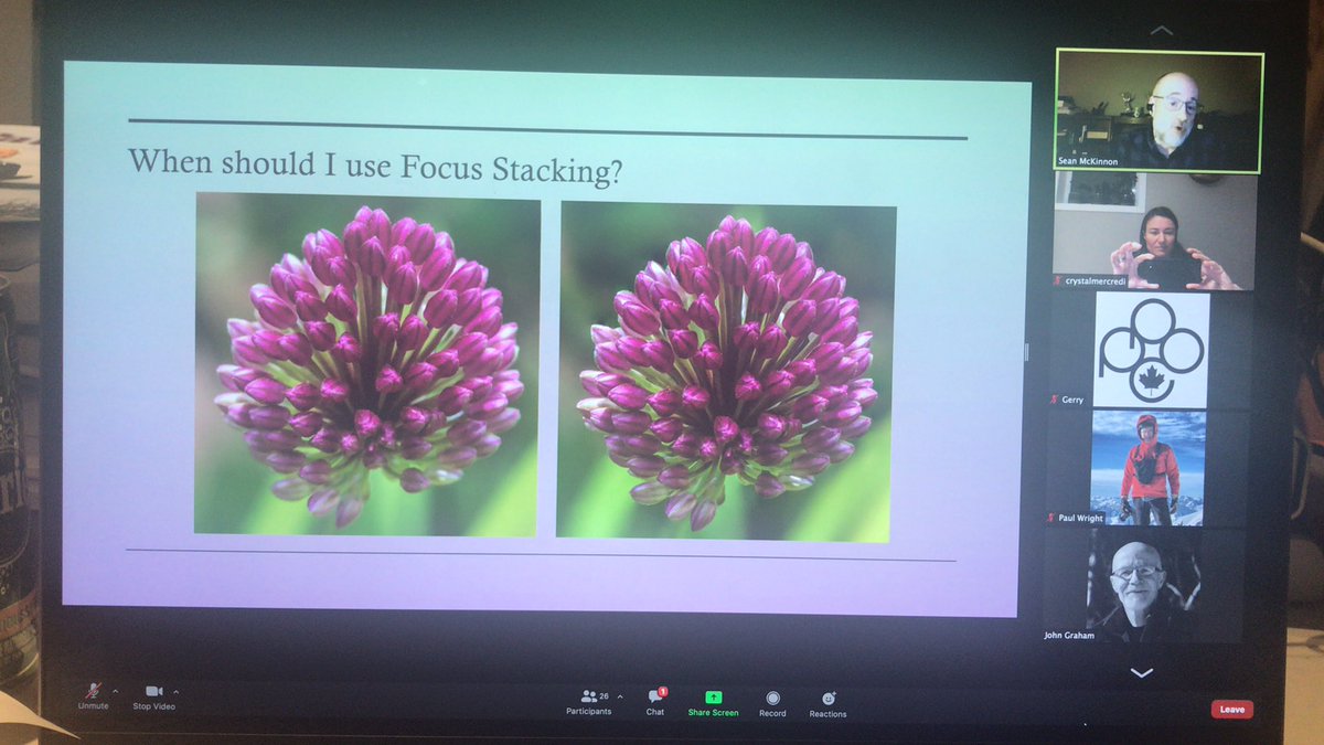 CrystalMercredi's tweet photo. It’s another #PPOC learning night, with a webinar of focus stacking by Sean McKinnon. #professionaldevelopment #learningcommunity #photographers https://t.co/2XO7Qtvv10