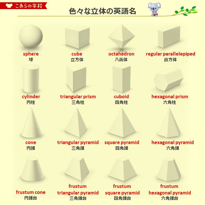 Twitter 上的 こあたん こあらの学校 立体はこちら T Co 660o1mhfjg Twitter