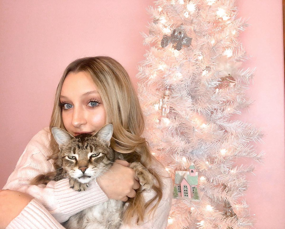 fancylikegracie's tweet photo. Me and moose are dreaming of a fancy sleepover!🎀🤍filmed a video today after a long break and I’m uploading tomorrow! Stay tuned on my channel @gabcake #fancysleepover2020 https://t.co/cGsyA4ZmY6