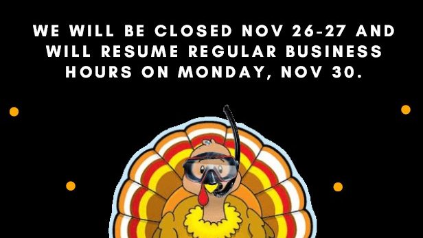 divpoolinc's tweet image. Happy Thanksgiving!