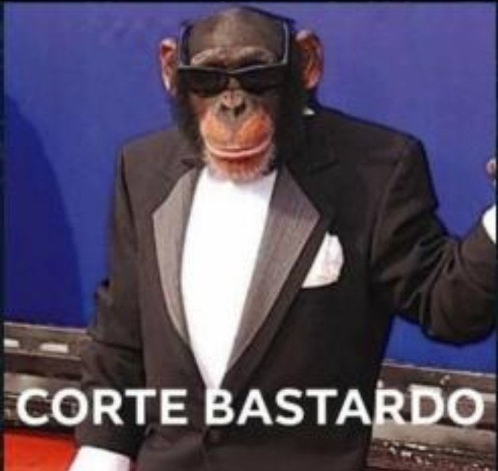 Tengo equipó, pero me gustaria ver ofertas para ocupar el rol de mánager 😁👍

Un poco de mi:
Amplia experiencia (7 meses)

Argentino 🇦🇷

Responsable y serio

Disponibilidad horaria amplía 

Con ganas de seguir mejorando.

Se Agradece 🔃 y ❤