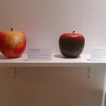 きっとこうなっていた？有名画家たちがりんごを創ったらこうなる!