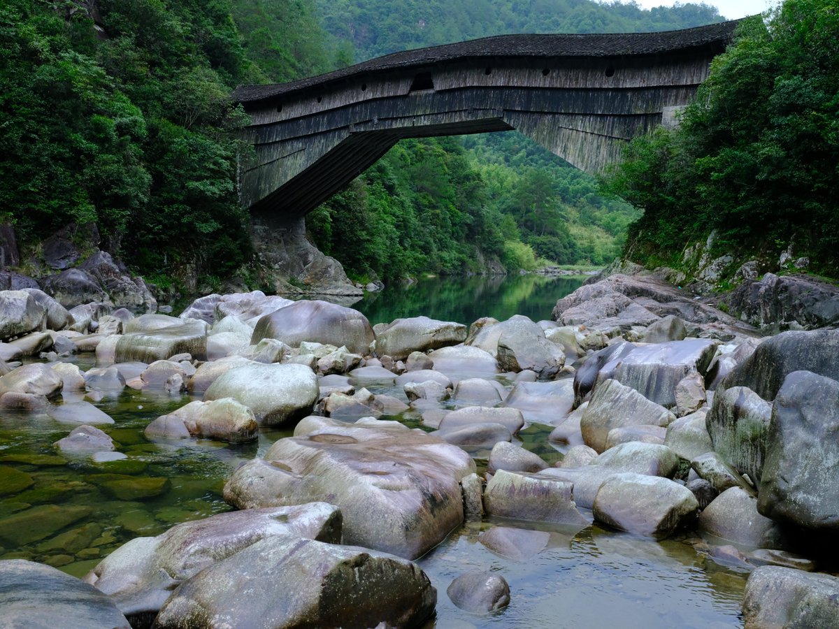 chnm_china's tweet photo. #Shouning arch bridge is one of the most technologically advanced traditional wooden Bridges in China,The Feiyun Bridge was built in 1463. https://t.co/srlPz95PCT