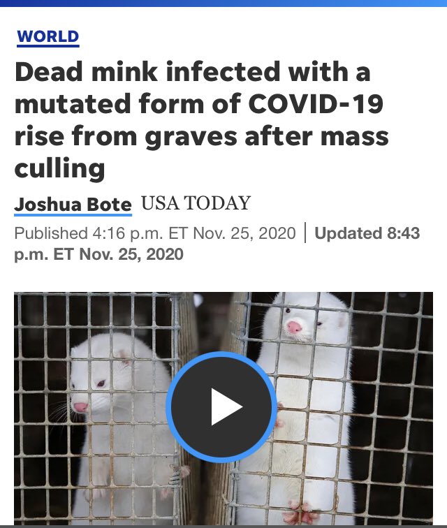 What in the holy hell is this headline? I read this 3 times and ...  https://www.usatoday.com/story/news/world/2020/11/25/covid-19-denmark-mink-rising-from-the-dead/6426378002/  @angie_rasmussen  @aetiology