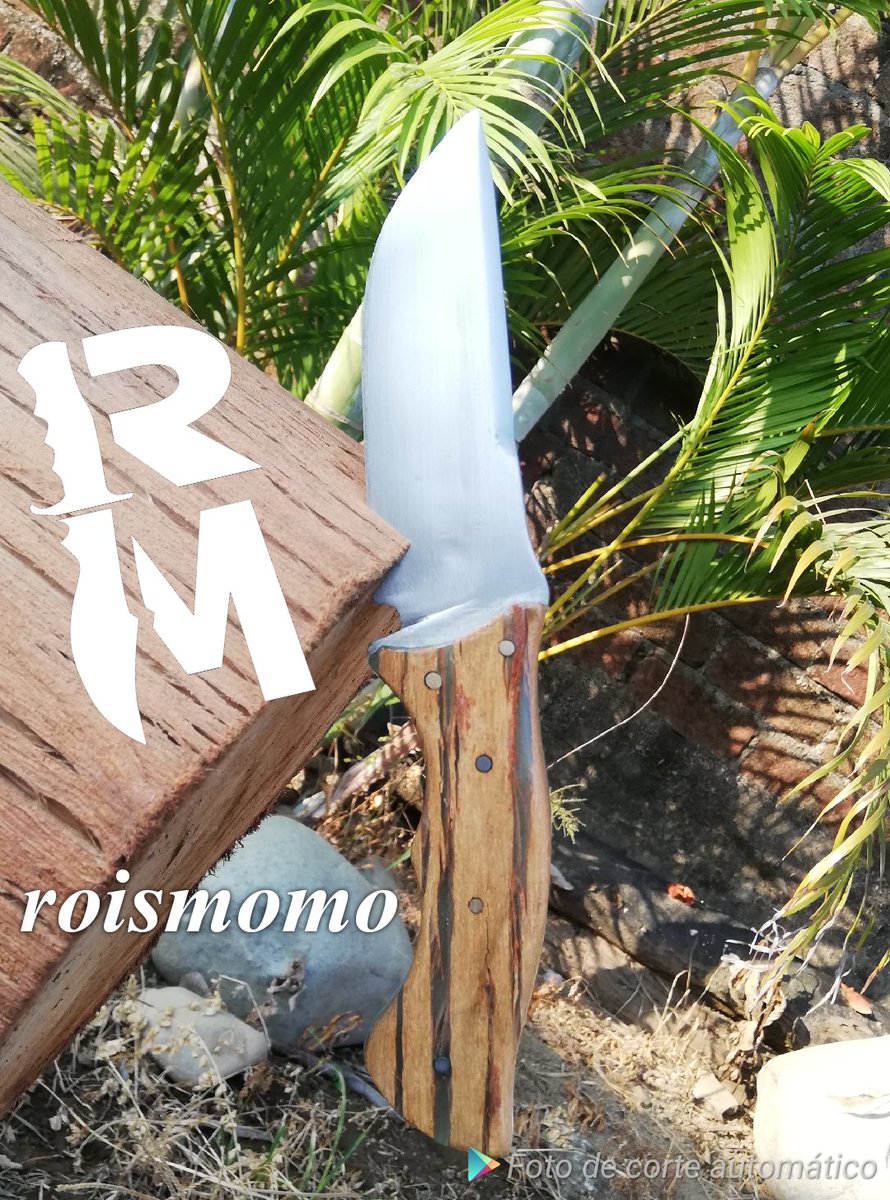 roismomo's tweet photo. Knife 🗡 https://t.co/xmLm3MzdKf