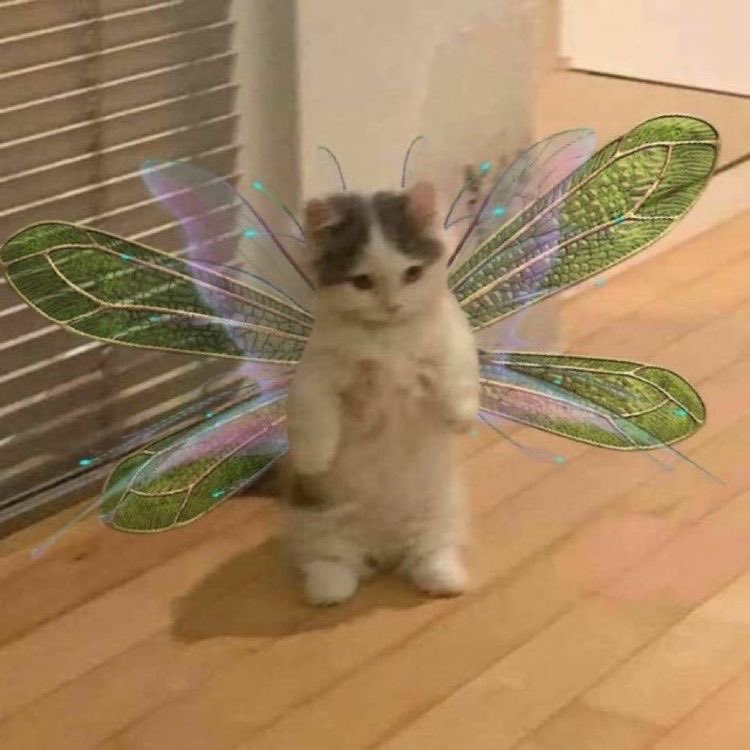 cadelasdrsquad's tweet photo. @starstilesx @sllytherclaw @marauderscar eita o squad nem nasceu e já vai levar exposed https://t.co/Jyv2ESMV5Q