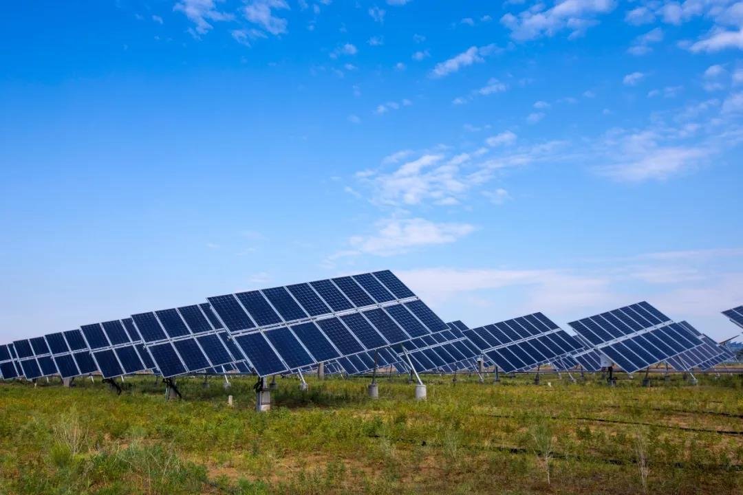 LONGi_Group's tweet photo. Sunlight is a gift and we shall never waste it. Using photovoltaics to desalinate seawater to create oases, then the carbon can be absorbed and solidified by vegetation, this is what we insist to do: use the power of nature to make the earth green again. #SolarforSolar https://t.co/dChkoFgUCX