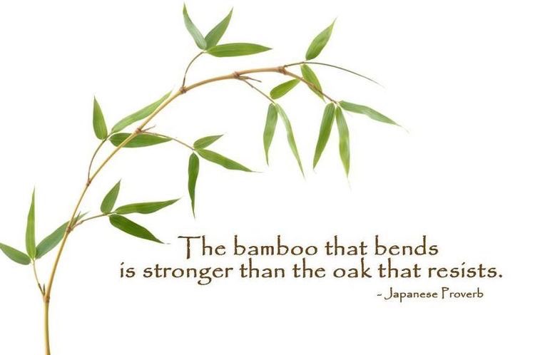 Quote of the day #bamboostraws #zerowaste #ecofriendly #hundredknot