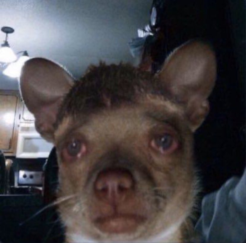 “This item is out of stock”