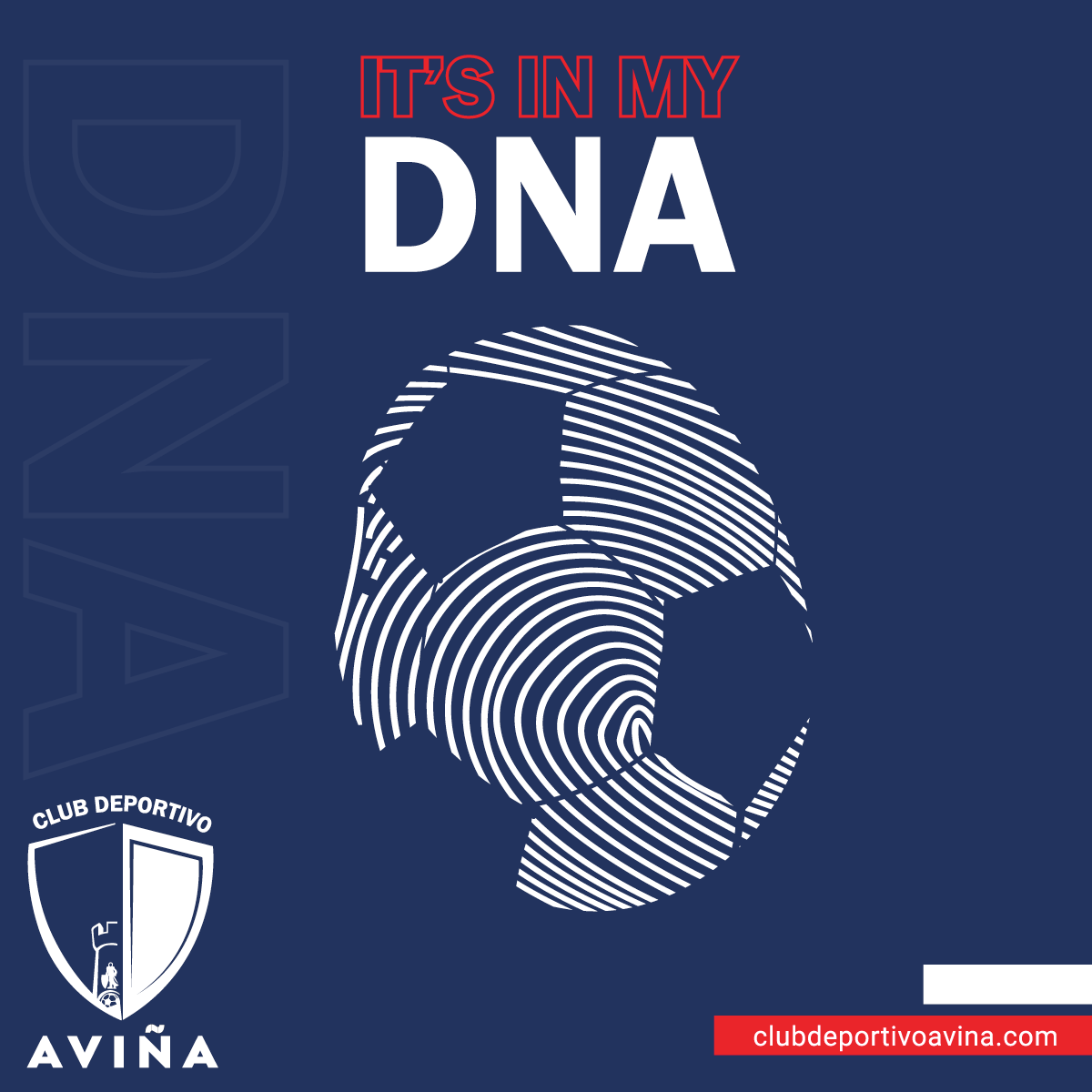 Club Deportivo Aviña tweet media