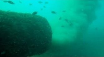 Santi_MBarajas's tweet photo. El 35% de las depuradoras depuran de forma deficiente
Ese % es mucho mayor en aquellas depuradoras que vierten al mar mediante emisarios submarinos, dada la falta de control que se hace de su calidad
Daños al medio ambiente y engaño a los usuarios que pagan la supuesta depuración https://t.co/xe764rltD9
