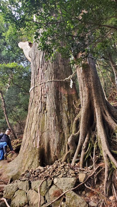 帰りは紅葉に恵まれたけど膝が地獄😄😅😭
標高差550m×2本2万歩は引きニートには相当キツかった…… 