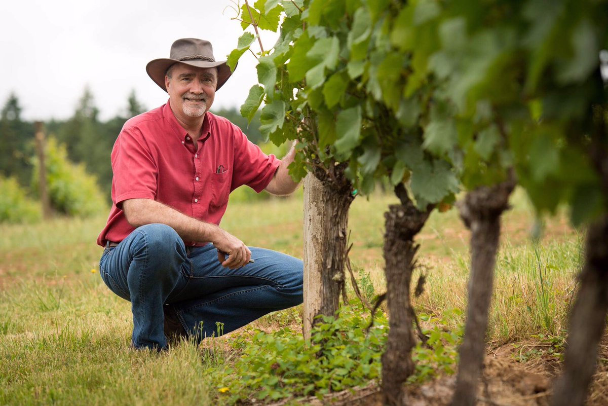 The_Buyer tweet media