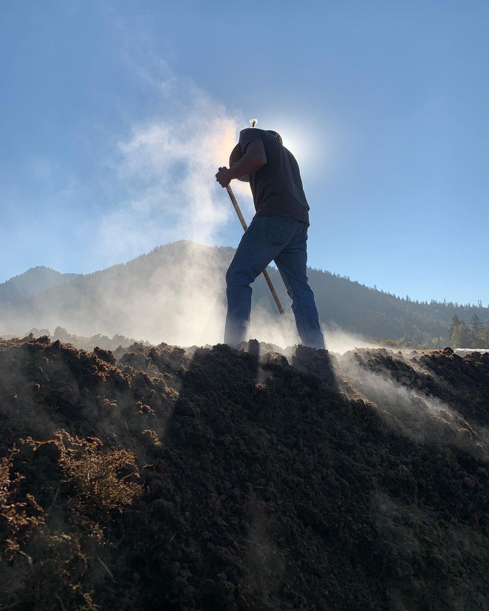 The_Buyer tweet media