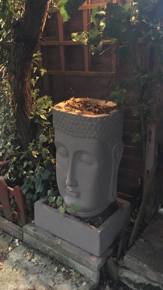 Jan_Lentzos's tweet photo. Autumn Buddha 😌
With a crown of fallen leaves 🍂 And an ivy necklace 😉
As the sun goes down 🌅
And with our patio light on 💡
🌳🍒🐦🍁☸️🍂🦔🍁🌲
#WaterFeatureWednesday #OurPatio #Buddha #IvyNecklace #OurGarden #WaterFeature #AutumnVibes #AsTheSunGoesDown
🍒🐦🍁🦔🍂🦔🍃🍒🐦🍁 https://t.co/WJhtzy7qHC