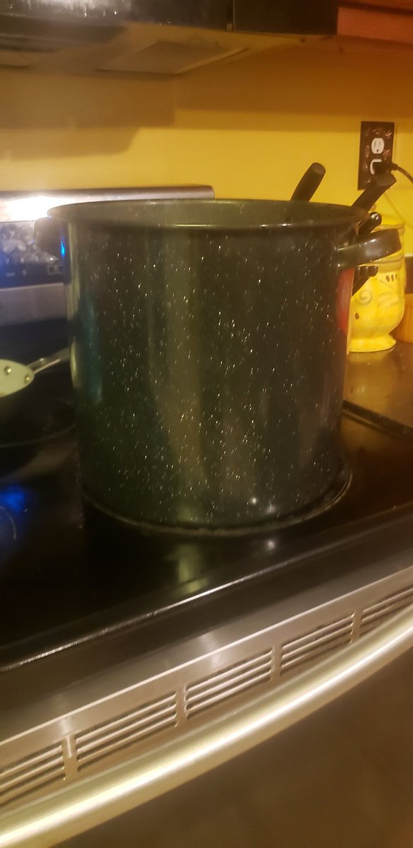 I was just informed that my children used my favorite stock pot as a stepstool and broke it (?!!). So I will be making stock in this giant weird canning thing. Off to a bad start.