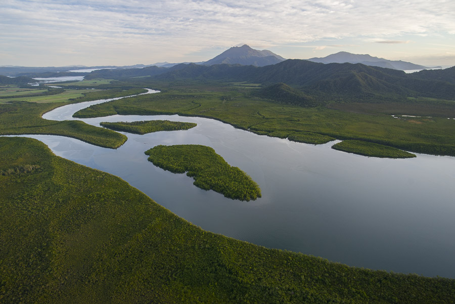 halfcut8's tweet photo. We need your help!
Please sign the petition to demand the Douglas Shire Council to dismiss all proposals for a bridge over the Daintree River which will irreparably impact fragile ecosystems and the endangered animals that live within them.

https://t.co/0qG3eTvKLp https://t.co/MhIoJCIgM6