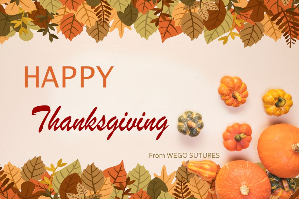 wegosuture's tweet image. May your life be blessed with joy! Love and miracles! A card can say more than a thousand words. Have a FULL thanks giving day. 
-From WEGO: foosin.en.made-in-china.com/company-Foosin…

#thanksgivingday  #ThanksgivingDayParade #WEGO
