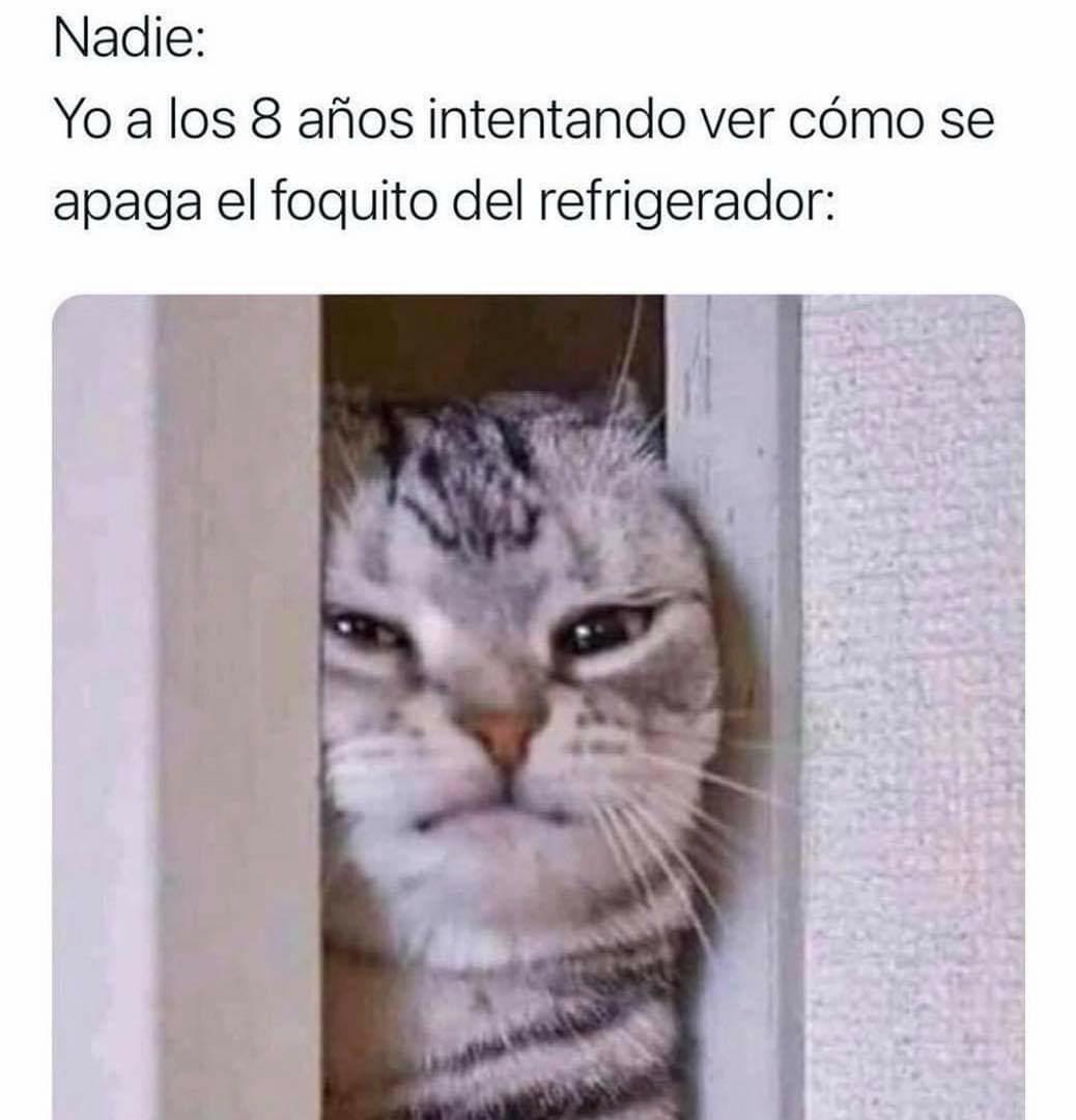Los40Ver's tweet photo. ¿Quién lo logró?🧐😆 #Viral40 https://t.co/70VsDUdp8F