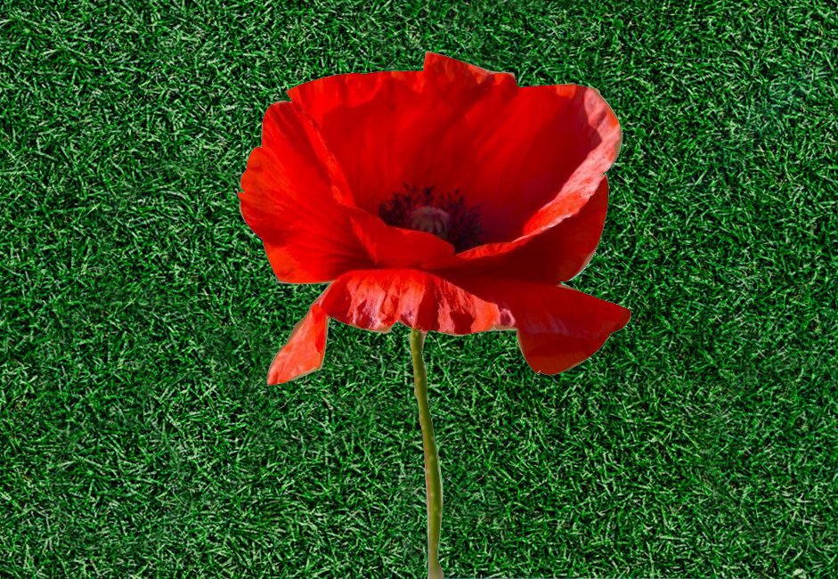 techbytesorg's tweet image. Image editing done by our student Sanvi from Photoshop workshops. Well done Sanvi!

#m2mtechbytes #codeai #codeempower #designthinking #animation #graphics #100DaysOfCode #100daysofdesign #photoshop