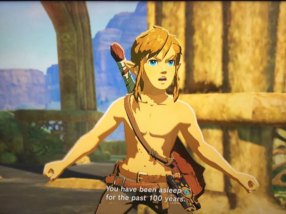CanShoulders's tweet photo. You Can See Link's Shoulders in Breath of the Wild. Yea... Yea... I mean... ... He's hot... Yea nothing else to say. https://t.co/PER8bk6fzW