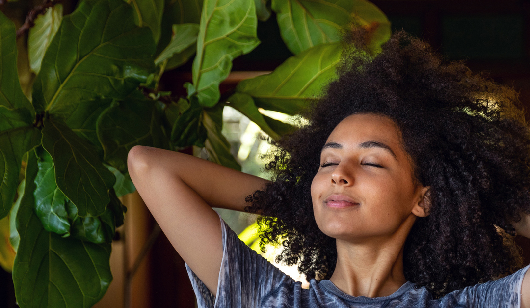 LSeib94's tweet photo. How to Naturally Scent Your Home https://t.co/a0pKrmiPqo https://t.co/5QPnoZc9Vy