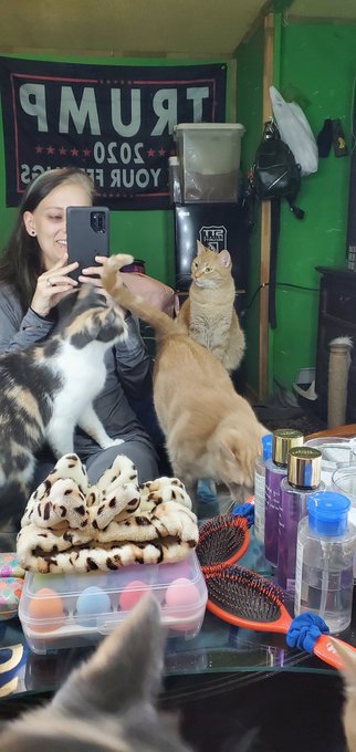 I can't take selfies around my cats🤷&zwj;♀️ https://t.co/6qiFhQm9RS<a href="/tag/linkinbio"class="tags"><span>#linkinbio</span></a><a href="/tag/suscribe"class="tags"><span>#suscribe</span></a><a href="/tag/onlyfans"class="tags"><span>#onlyfans</span></a><a href="/tag/onlyfanscoupl"class="tags"><span>#onlyfanscoupl</span></a>