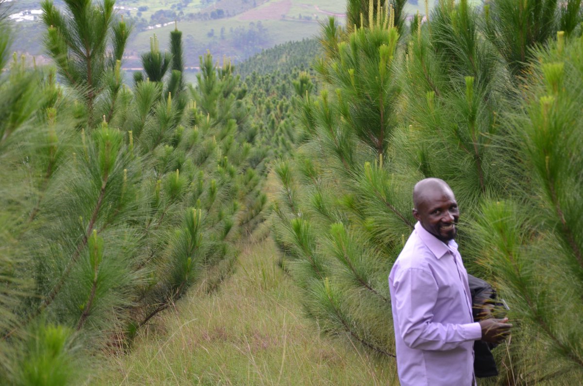 FAO in Uganda tweet media