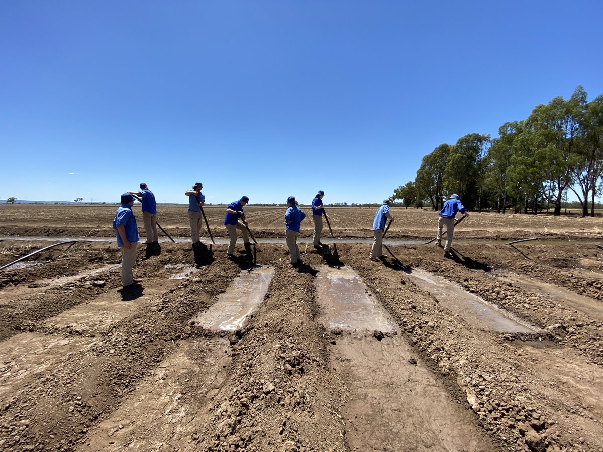 @NSWDPI_AGRONOMY cotton team welcomed <a href="/YancoAgHS/">Yanco Ag High School</a> students to visit our <a href="/CottonResearch/">CRDC</a> trials and learn about the industry for their year 11 case study. <a href="/haydenpetty1/">Hayden Petty</a>