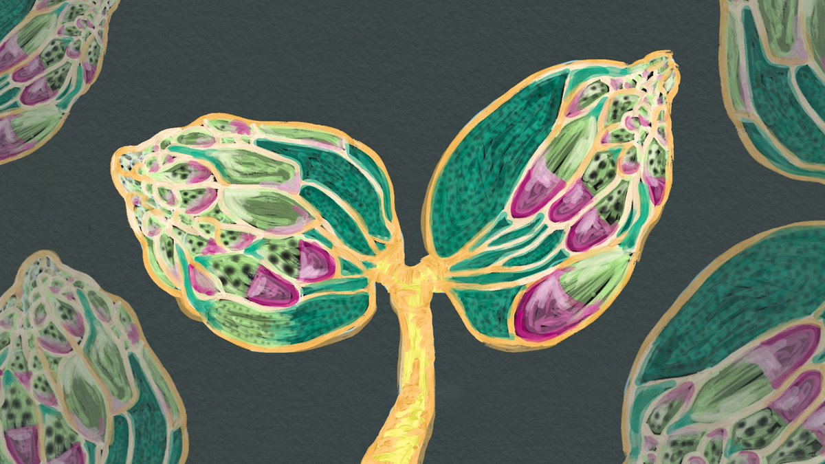 Caroline Pritchard tweet media