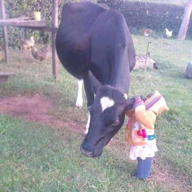 Roṋewa Mathephe tweet media